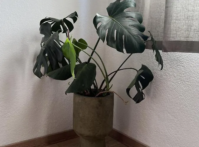Casa de Férias Gem Mravince